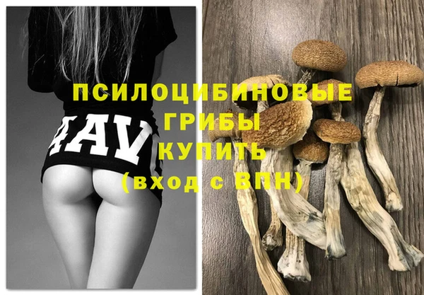 амфетамин Белокуриха