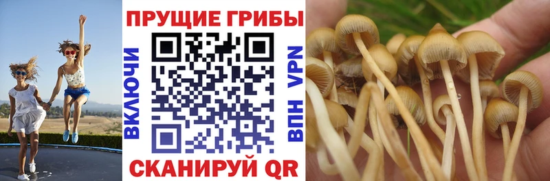Галлюциногенные грибы MAGIC MUSHROOMS  Удачный 